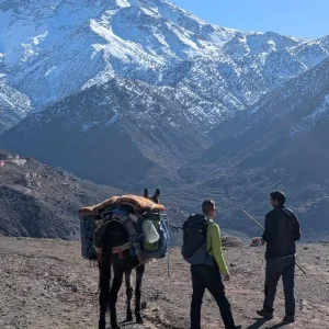 Explore 3-Day Atlas Mountains Cultural Trek & Valley Stay for 3 days with  Amazigh Voyage and discover unforgettable experiences - Photo 11