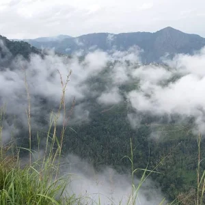 Explore Serene Nilgiris: Ooty and Coonoor Discovery Tour for 3 days with Agora Voyages OPC Pvt Ltd and discover unforgettable experiences - Photo 3