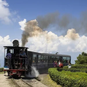 Explore Eastern Himalayan Retreat: Darjeeling & Gangtok Expedition for 6 days with Agora Voyages OPC Pvt Ltd and discover unforgettable experiences - Photo 5