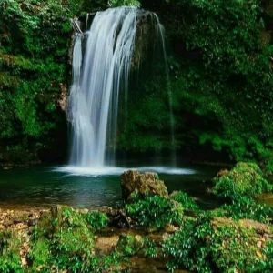 Explore Roar and Reverie: Corbett Tiger Reserve Escapade from Delhi for 3 days with Agora Voyages OPC Pvt Ltd and discover unforgettable experiences - Photo 2