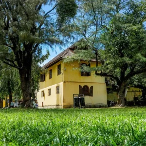 Explore Backwaters to Temples: A Cochin-Madurai Adventure for 8 days with Agora Voyages OPC Pvt Ltd and discover unforgettable experiences - Photo 4