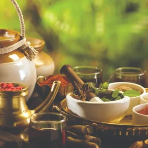 Explore Tranquil Kerala Retreat: Tea Estates, Backwaters, and Beach for 11 days with Agora Voyages OPC Pvt Ltd and discover unforgettable experiences - Photo 9