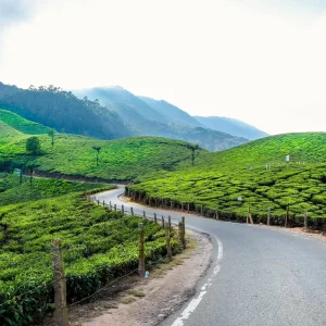 Explore Timeless Heritage Tides: A Cultural Journey through Tea and Backwaters for 19 days with Agora Voyages OPC Pvt Ltd and discover unforgettable experiences - Photo 10