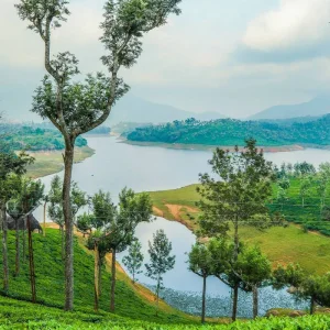 Explore Timeless Heritage Tides: A Cultural Journey through Tea and Backwaters for 19 days with Agora Voyages OPC Pvt Ltd and discover unforgettable experiences - Photo 11