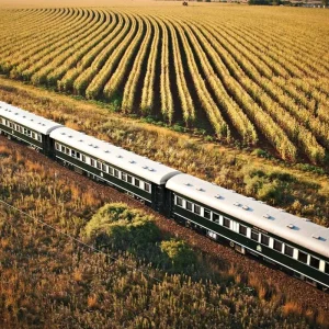 Explore Rovos Rail - The Pride of Africa (from Zug to Pretoria) for 4 days with DERTOUR and discover unforgettable experiences - Photo 5