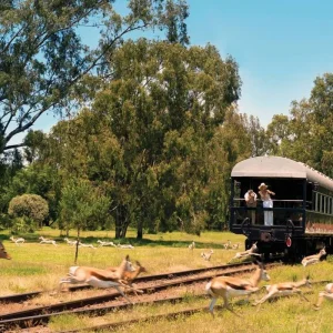 Explore Rovos Rail - The Pride of Africa (from Durban to Pretoria) for 3 days with DERTOUR and discover unforgettable experiences - Photo 4