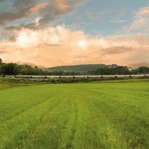 Explore Rovos Rail - The Pride of Africa (from Durban to Pretoria) for 3 days with DERTOUR and discover unforgettable experiences - Photo 10