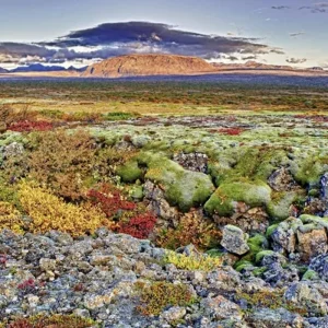 Explore South West Iceland in vacation homes for 8 days with DERTOUR and discover unforgettable experiences - Photo 3