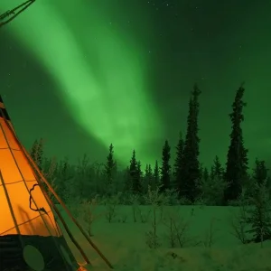 Explore Best Value Aurora Viewing | Wildlife & Hot Springs for 4 days with Arctic Range Adventure and discover unforgettable experiences - Photo 9