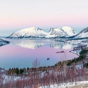 Explore Wildlife, northern lights and the natural paradise of Senja for 7 days with DERTOUR and discover unforgettable experiences - Photo 3