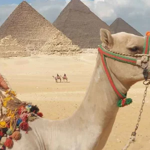 Explore All inclusive Private Giza Pyramids, Sakkara, Memphis and Dahshur, Lunch for 1 days with Egypt Tours USA and discover unforgettable experiences - Photo 2