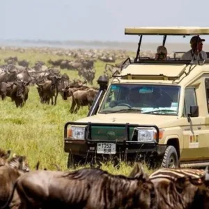 Explore 12-Day Tanzania & Kenya Budget Camping Safari – Serengeti, Ngorongoro & Masai Mara for 12 days with Exciting Africa Holidays and discover unforgettable experiences - Photo 5