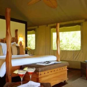 Explore Masai Mara Luxury Flying Safari 3 Days 2 Nights Package for 3 days with Exciting Africa Holidays and discover unforgettable experiences - Photo 8