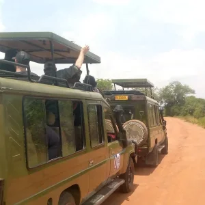 Explore Akagera National Park Rwanda: 2 Days Game Drive and Pastoralist Experience for 2 days with African Travellers and discover unforgettable experiences - Photo 6