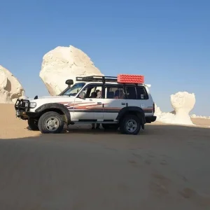 Explore Overnight White and Black Desert Camping & Safari Tour From Cairo for 2 days with Egypt Gift Tours and discover unforgettable experiences - Photo 3