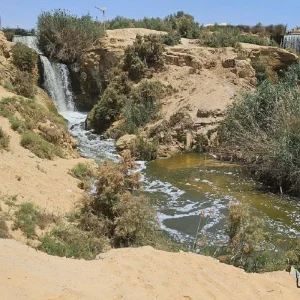 Explore Private Full-Day Tour To Fayoum Oasis and Waterfalls of Wadi El-Rayan from Cairo for 1 days with Egypt Gift Tours and discover unforgettable experiences - Photo 4