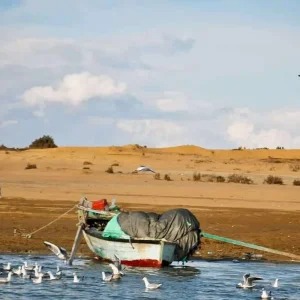 Explore Private Full-Day Tour To Fayoum Oasis and Waterfalls of Wadi El-Rayan from Cairo for 1 days with Egypt Gift Tours and discover unforgettable experiences - Photo 9