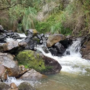 Explore 12 Days Andean Adventure: Traversing Ecuador's Icons and Hidden Gems for 12 days with Responsible Travel South America and discover unforgettable experiences - Photo 2