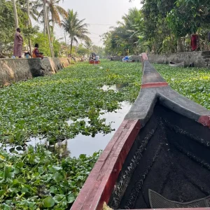 Explore Rajasthan and Kerala Tour for 10 days with BeMetravels and discover unforgettable experiences - Photo 6