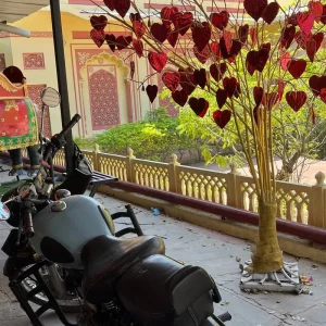 Explore Adventures in Rajasthan for 14 days with BeMetravels and discover unforgettable experiences - Photo 4