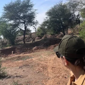 Explore Luxury Taj and Tigers Safari for 5 days with BeMetravels and discover unforgettable experiences - Photo 5
