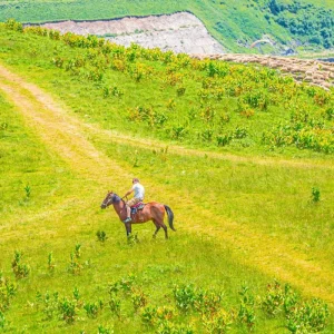 Explore Customized 8 Days Best Georgia Family Tour, Daily Starts (Private Tour) for 8 days with Agate Travel and discover unforgettable experiences - Photo 8