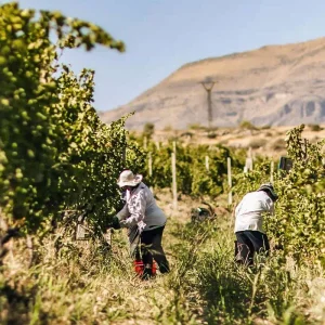 Explore Customized 4 Days Armenia Private Tour with 4-star Hotel (Private Guide & Driver) for 4 days with Agate Travel and discover unforgettable experiences - Photo 8