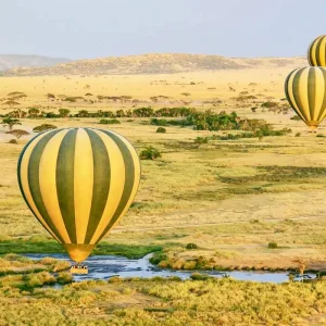 Explore Tailor-Made 11 Days Private Tanzania & Zanzibar Adventure, Daily Departure for 11 days with Agate Travel and discover unforgettable experiences - Photo 2