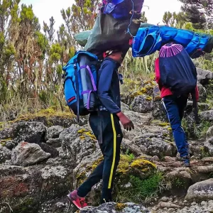 Explore Customized 7 Days Mount Kilimanjaro Trek, Daily Departure & Private Guide for 7 days with Agate Travel and discover unforgettable experiences - Photo 3