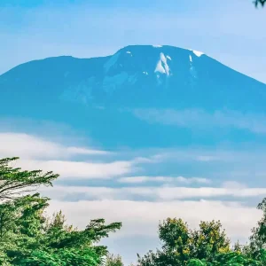 Explore Customized 7 Days Mount Kilimanjaro Trek, Daily Departure & Private Guide for 7 days with Agate Travel and discover unforgettable experiences - Photo 4