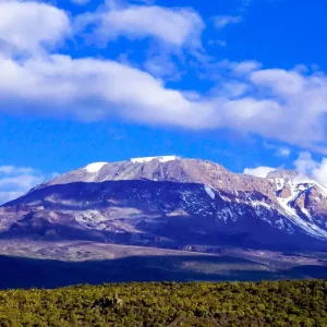 Explore Customized 7 Days Mount Kilimanjaro Trek, Daily Departure & Private Guide for 7 days with Agate Travel and discover unforgettable experiences - Photo 7