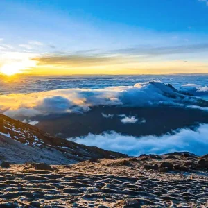 Explore Customized 7 Days Mount Kilimanjaro Trek, Daily Departure & Private Guide for 7 days with Agate Travel and discover unforgettable experiences - Photo 8