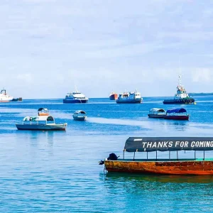 Explore Tailor-Made 11 Days Private Tanzania & Zanzibar Adventure, Daily Departure for 11 days with Agate Travel and discover unforgettable experiences - Photo 9
