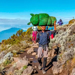 Explore Customized 7 Days Mount Kilimanjaro Trek, Daily Departure & Private Guide for 7 days with Agate Travel and discover unforgettable experiences - Photo 9