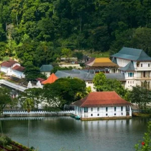 Explore 2-Day All-Inclusive Kandy And Nuwara Eliya Tour for 2 days with Beyond Escapes and discover unforgettable experiences - Photo 5