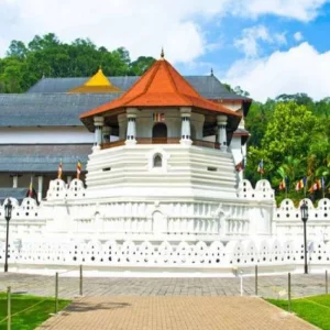 Explore 2-Day All-Inclusive Kandy And Nuwara Eliya Tour for 2 days with Beyond Escapes and discover unforgettable experiences - Photo 9