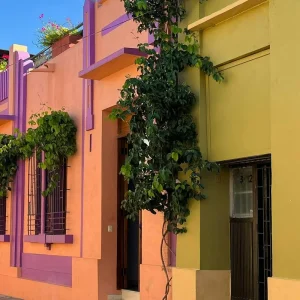 Explore 5 Days in Colombia: The Best of Santa Marta, Minca Vibes & Tayrona Magic (Backpacked) for 5 days with Responsible Travel South America and discover unforgettable experiences - Photo 3