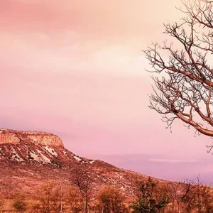 Explore Wonders of the West Coast and Kimberley (21 Days) for 21 days with AAT Kings and discover unforgettable experiences - Photo 2