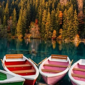 Explore UNESCO Wonders Await: Embark on a 3-Day Adventure to the Enchanting Painted Monasteries of Bucovina! for 3 days with Business Trans Protocol and discover unforgettable experiences - Photo 10
