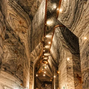 Explore 3-Day Transylvania Tour: Dracula Castle, Medieval Sighisoara & Salt Mine for 3 days with Business Trans Protocol and discover unforgettable experiences - Photo 8