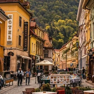 Explore 3-Day Transylvania Small Group Tour: Dracula’s Castle, Transfagarasan & Bear Watching for 3 days with Business Trans Protocol and discover unforgettable experiences - Photo 10