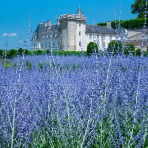 Explore French Dream for 6 days with Europamundo and discover unforgettable experiences - Photo 11