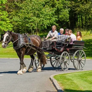 Explore Best of Ireland South (Tour B) - 7 Days/6 Nights (from Dublin to Shannon) for 7 days with CIE Tours and discover unforgettable experiences - Photo 4