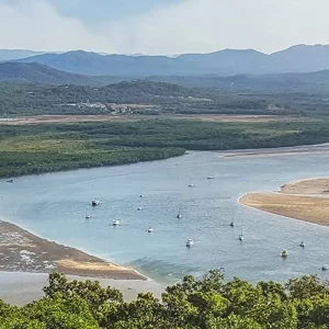 Explore Cape Tribulation and Cooktown Wanderer (Small Group, Short Break) for 3 days with AAT Kings and discover unforgettable experiences - Photo 2