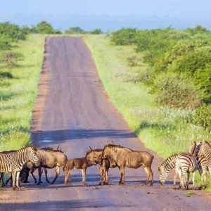 Explore Highlights of the north for 9 days with DERTOUR and discover unforgettable experiences - Photo 3