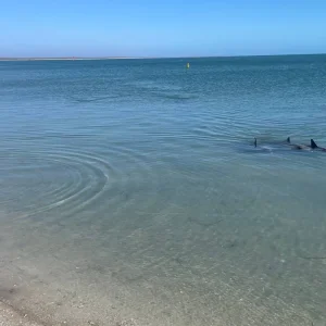 Explore 5 Night Perth to Exmouth Adventure for 6 days with Adventure Tours Australia and discover unforgettable experiences - Photo 2