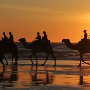 Explore Perth to Broome Tour With Kalbarri, Ningaloo Reef, Exmouth & Karijini for 10 days with Adventure Tours Australia and discover unforgettable experiences - Photo 2