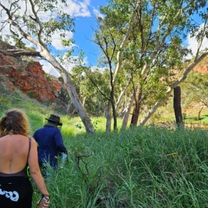 Explore Uluru Tour with Kata Tjuta, Kings Canyon & MacDonnell Ranges (From Alice Springs) for 5 days with Adventure Tours Australia and discover unforgettable experiences - Photo 6