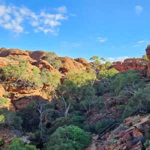 Explore Uluru Tour with Kata Tjuta & Kings Canyon - Eco Tent (Yulara to Yulara) for 4 days with Adventure Tours Australia and discover unforgettable experiences - Photo 5