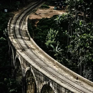 Explore Serene Sri Lanka: A Magical 5-days Journey for 5 days with Apple Vacations Pvt Ltd and discover unforgettable experiences - Photo 8